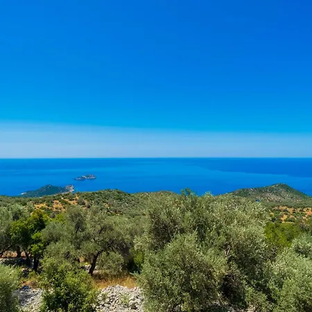Hotel Zeynep View